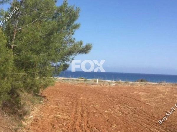 land for sale nea dimmata paphos 1270267 image 10032729
