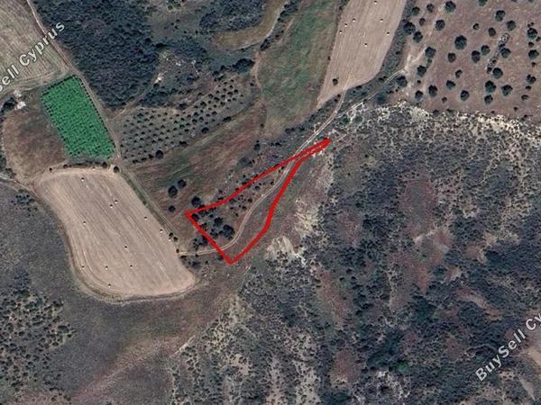 land for sale pelathousa paphos 1902267 image 15177621