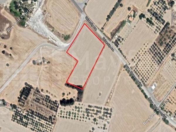 land for sale pyla larnaca 7871267 image 11380781