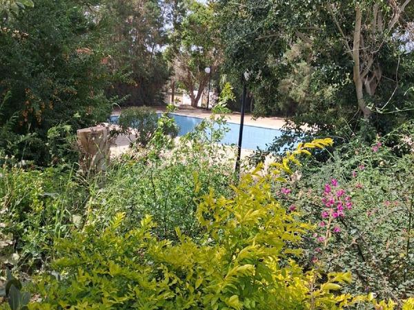 plot for sale chlorakas paphos 8607267 image 15776534