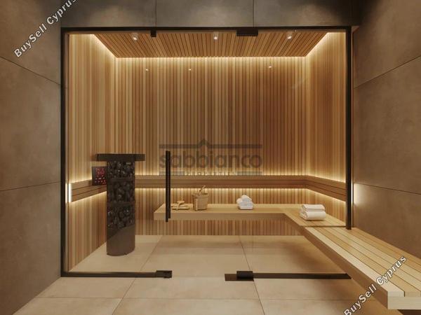 2 bedroom apartment for sale livadia larnacas larnaca 8740367 image 16381398