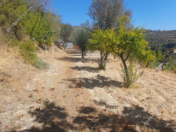 3 bedroom detached house for sale vouni limassol 7736367 image 14508680