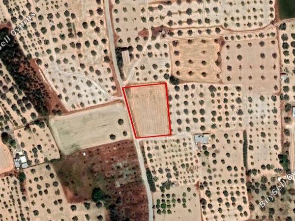 land for sale athienou larnaca 966367 image 13569641