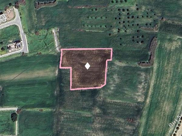 land for sale oroklini larnaca 1879367 image 7006570