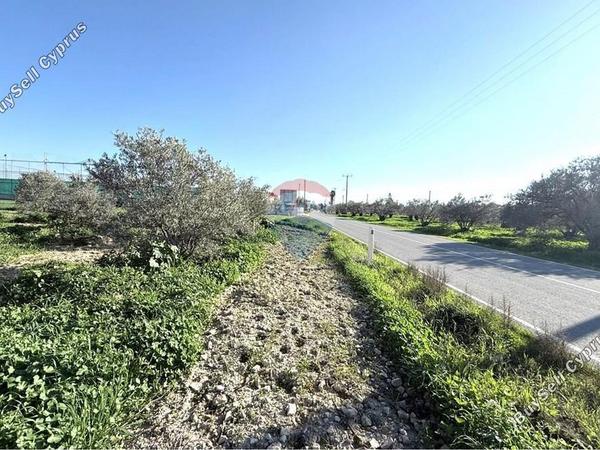 land for sale athienou larnaca 8322467 image 14707376