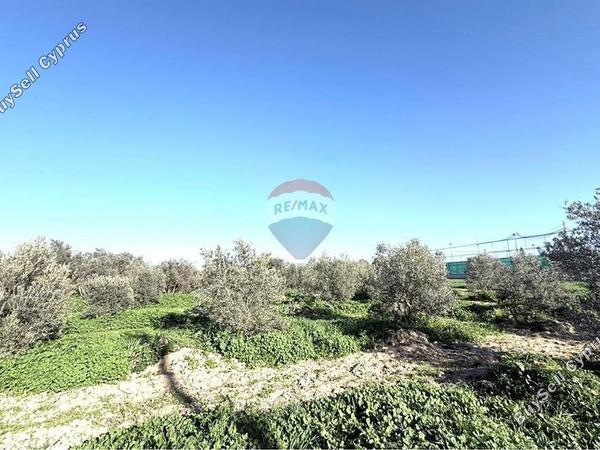 land for sale athienou larnaca 8322467 image 14707378
