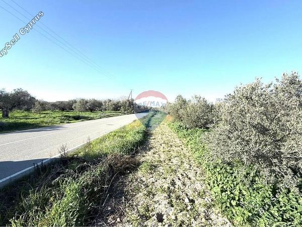 land for sale athienou larnaca 8322467 image 17081737