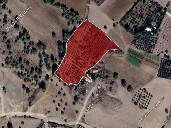 land for sale mathiatis nicosia 8700467 image 16225110