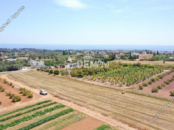 land for sale peyia paphos 7812467 image 10640089