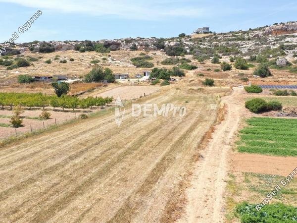 land for sale peyia paphos 7812467 image 10640090
