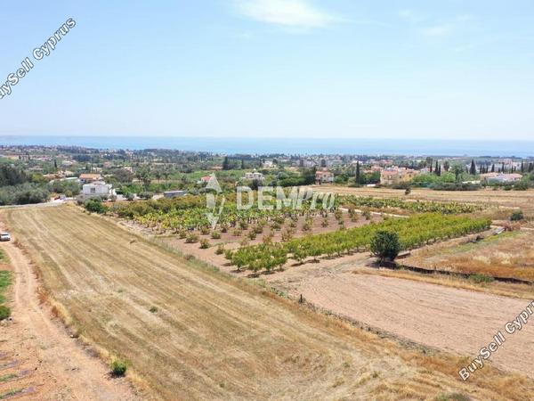 land for sale peyia paphos 7812467 image 10640091