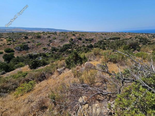 land for sale ineia paphos 1869567 image 6906664