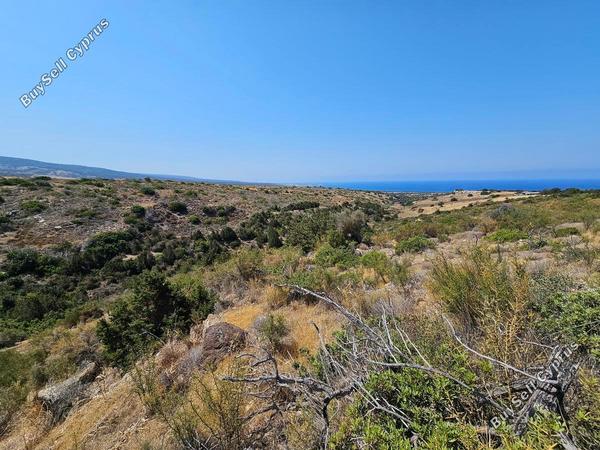 land for sale ineia paphos 1869567 image 6906665