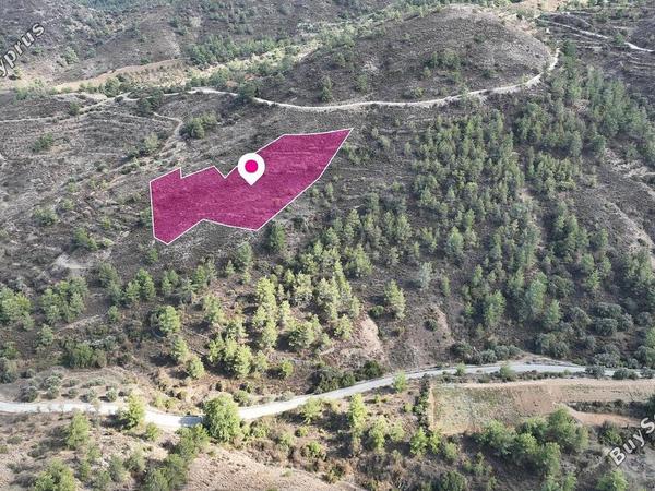 land for sale fikardou nicosia 1537667 image 3814744