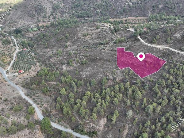 land for sale fikardou nicosia 1537667 image 3814759