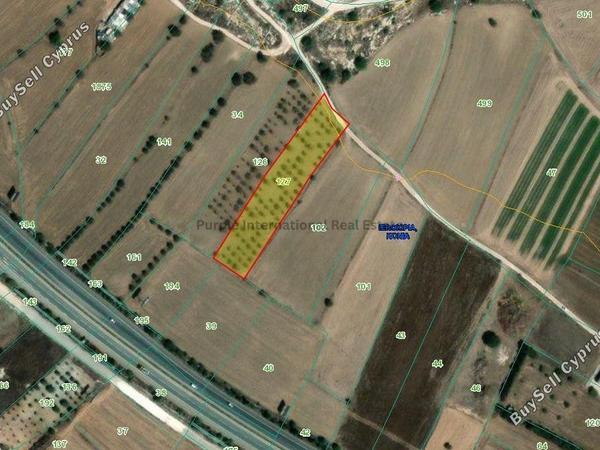land for sale konia paphos 7545667 image 10303452