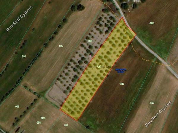 land for sale konia paphos 7545667 image 10303453