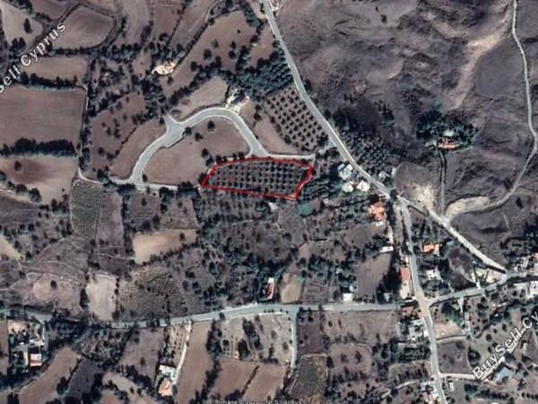 land for sale lasa paphos 1355667 image 15279263