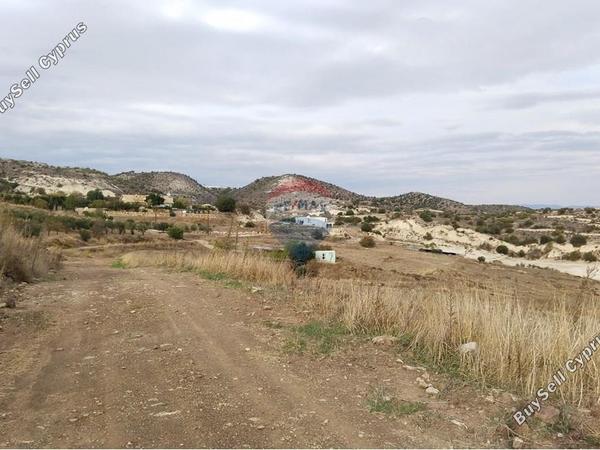 land for sale nata paphos 7816667 image 15973233