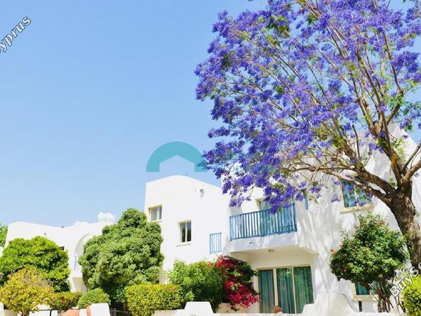 studio apartment for sale kato paphos paphos 8816667 image 16910086