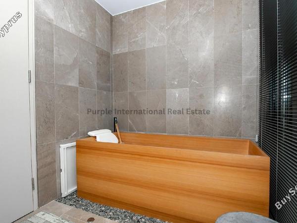 3 bedroom detached house for sale tsada paphos 7874767 image 14048589
