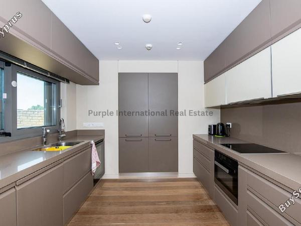 3 bedroom detached house for sale tsada paphos 7874767 image 14048609