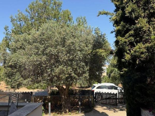4 bedroom detached house for rent aphrodite hills paphos 8611767 image 15877726
