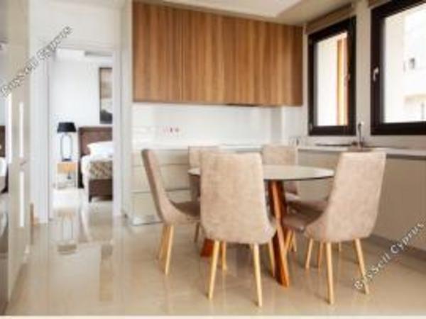 4 bedroom detached house for sale argaka paphos 8156767 image 13489987
