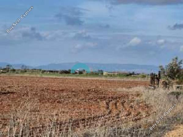 land for sale avgorou famagusta 7879767 image 16015836