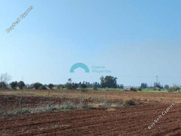 land for sale avgorou famagusta 7879767 image 16015838