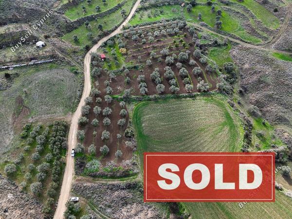 land sold analiontas nicosia 8639767 image 16062336
