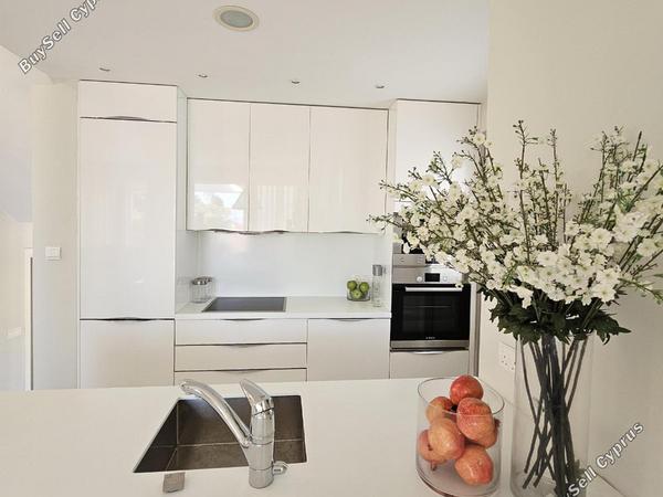 2 bedroom detached house for sale poli chrysochous paphos 1929867 image 9928415