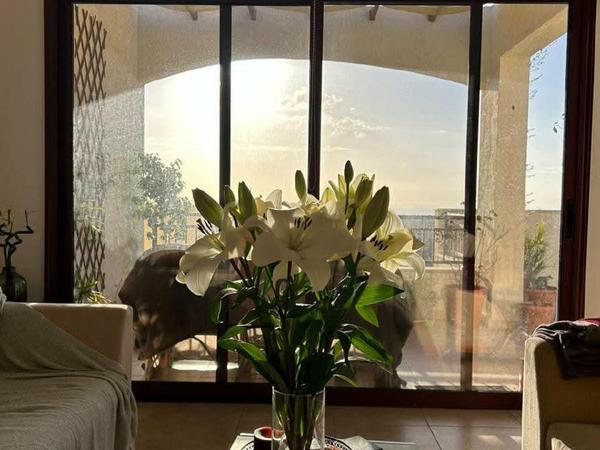 2 bedroom penthouse for rent pissouri limassol 8404867 image 14878781