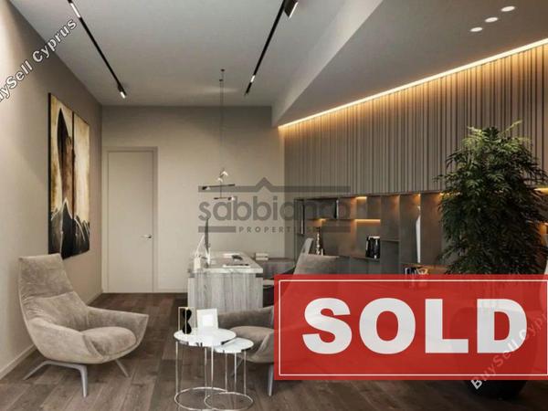 4 bedroom detached house sold agios tychonas limassol 8746867 image 16445784