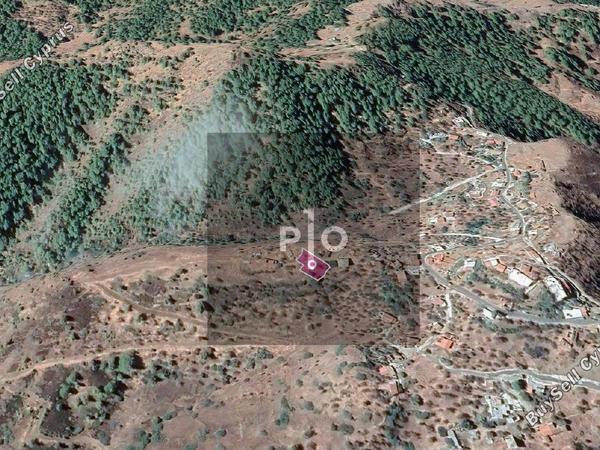 land for sale pigenia nicosia 8274867 image 15155843