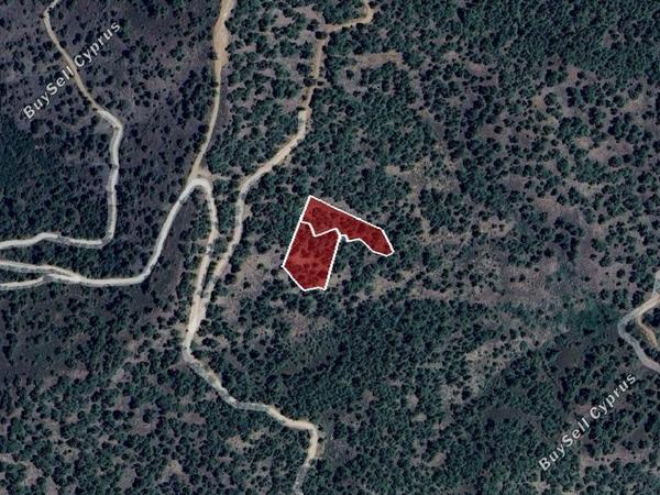 land for sale platanistasa nicosia 8003867 image 15596263