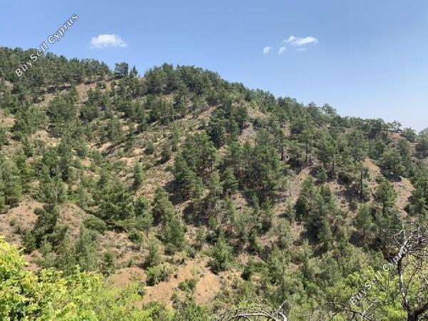 land for sale platanistasa nicosia 8003867 image 15596265