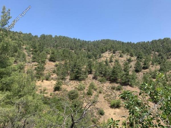 land for sale platanistasa nicosia 8003867 image 15596266