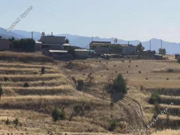 land for sale vyzakia nicosia 945867 image 15602627