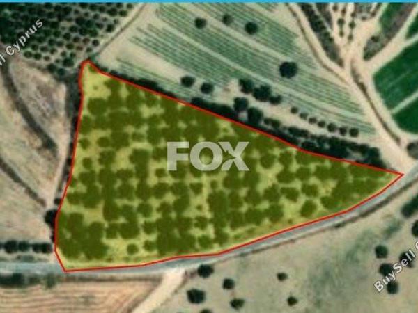 land for sale chrysochou paphos 1159967 image 5534627