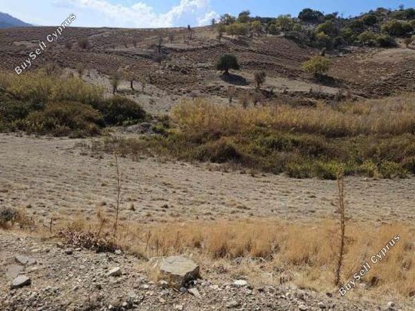 land for sale agios dimitrianos paphos 1733077 image 15597768