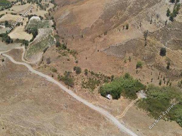 land for sale agios dimitrianos paphos 1733077 image 15597770