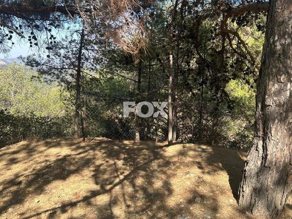 land for sale foini limassol 1910077 image 9653233