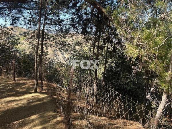 land for sale foini limassol 1910077 image 9653234