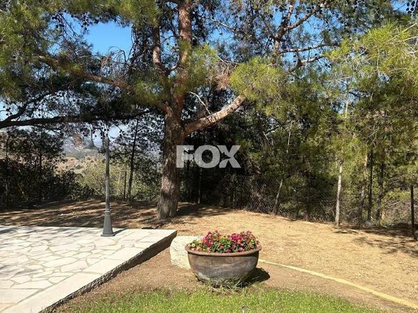 land for sale foini limassol 1910077 image 9653240