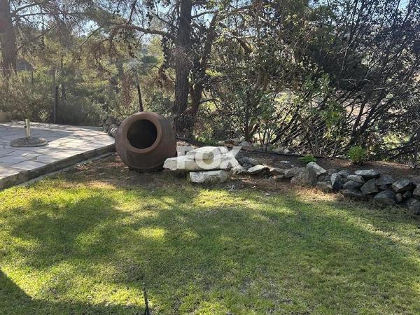 land for sale foini limassol 1910077 image 9653241