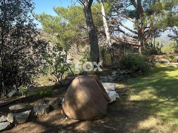 land for sale foini limassol 1910077 image 9653245
