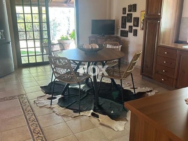land for sale foini limassol 1910077 image 9653256