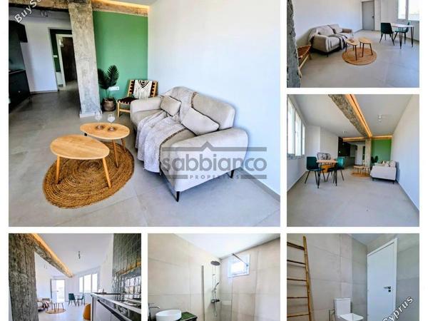 1 bedroom apartment for rent aglantzia nicosia 8741177 image 16389775