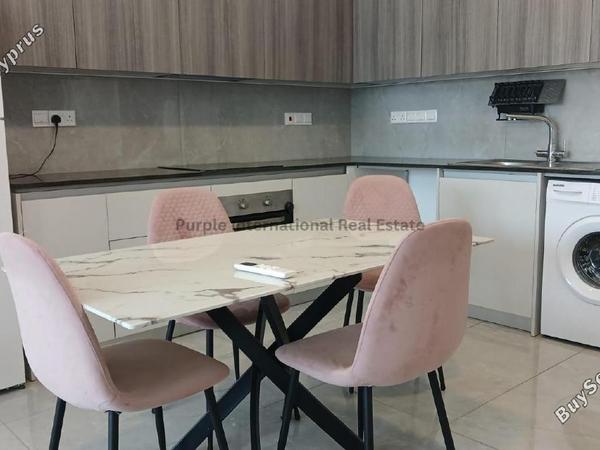 2 bedroom apartment for rent agios spyridonas limassol 8705177 image 16245276